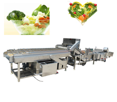 vegetable washing and cleaning machine 